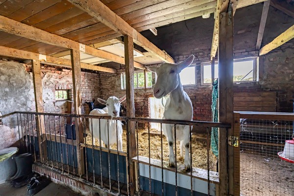 Medium property photo - Halbe Wiersemaweg 6, 9365 TB Niebert